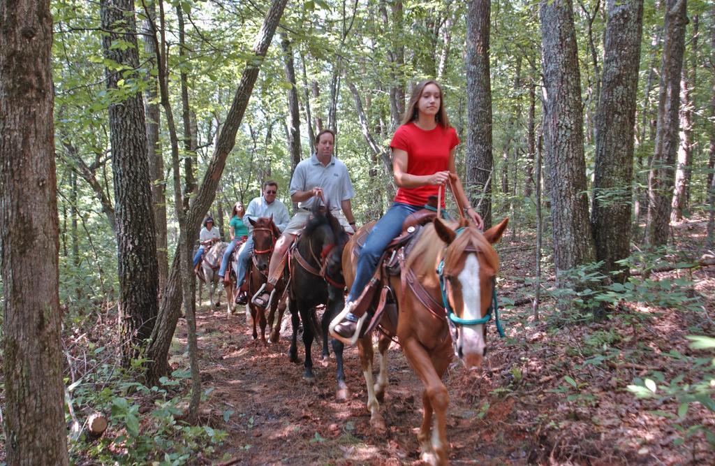 Brasstown Valley Resort & Spa Young Harris Eksteriør billede